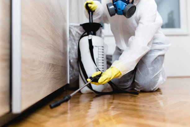 Best Flea Control Services  in Von Ormy, TX