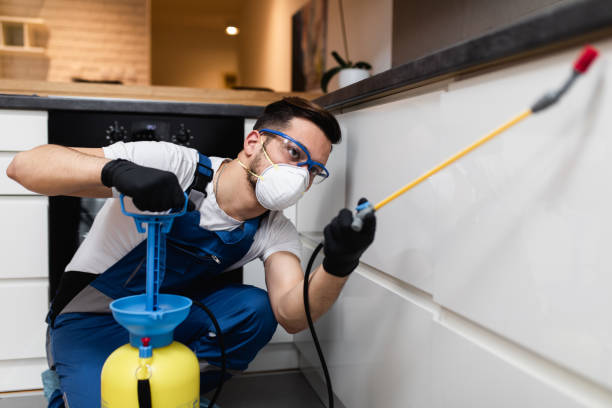 Best Best Pest Control Companies  in Von Ormy, TX