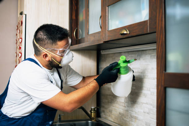 Best Exterminator Services  in Von Ormy, TX
