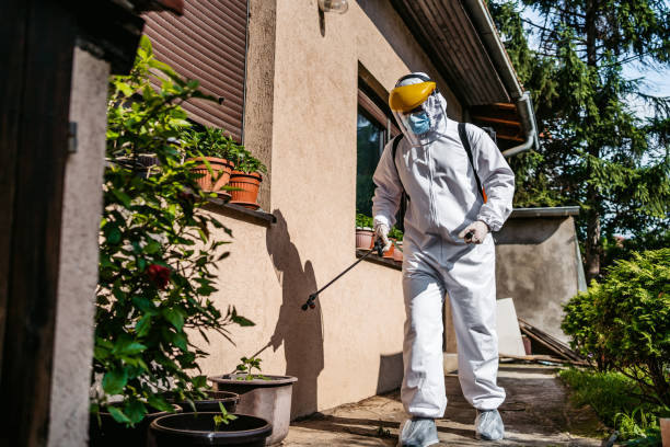 Best Local Pest Control Services  in Von Ormy, TX
