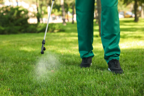 Best Best Pest Control Companies  in Von Ormy, TX