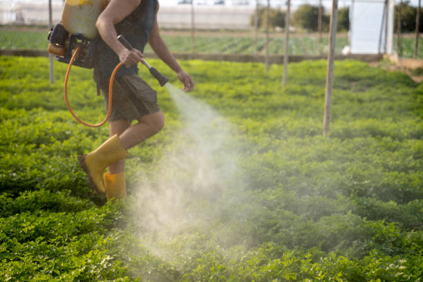 Best Pest Inspection Near Me  in Von Ormy, TX