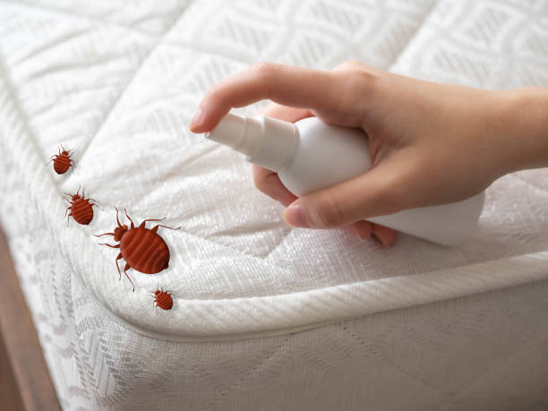 Professional Pest Control in Von Ormy, TX