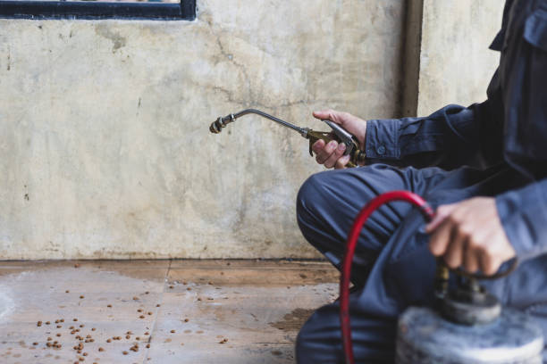 Best Affordable Pest Control Services  in Von Ormy, TX